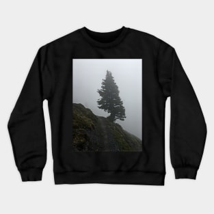 Solitary tree on a misty mountain top Crewneck Sweatshirt